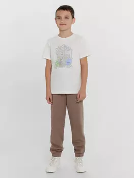 Брюки спортивные для мальчиков коричневые