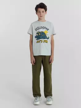 Брюки для мальчиков в серо-зеленом цвете