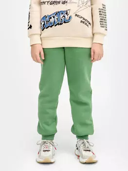 Брюки для мальчиков в зеленом цвете