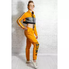 Брюки из футера 2-х нитка