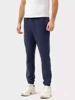 Брюки мужские джоггеры в синем цвете