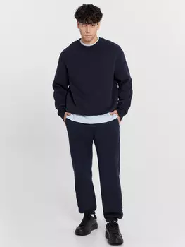 Брюки мужские синие