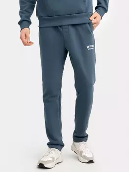 Брюки мужские в сером цвете