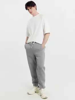 Брюки мужские в сером цвете