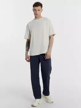 Брюки мужские в сером цвете