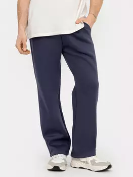 Брюки мужские в сером цвете