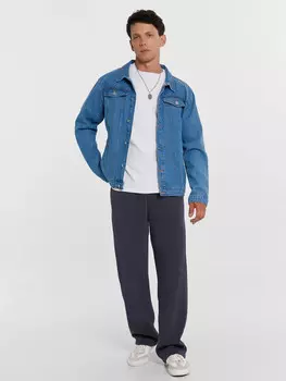 Брюки мужские в сером цвете