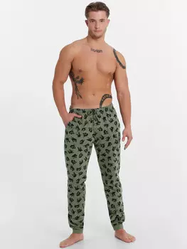 Брюки мужские в зеленом цвете с доберманами