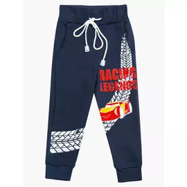 Брюки спортивные