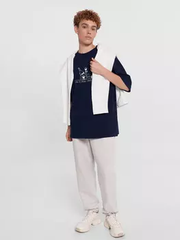 Брюки спортивные мужские серые