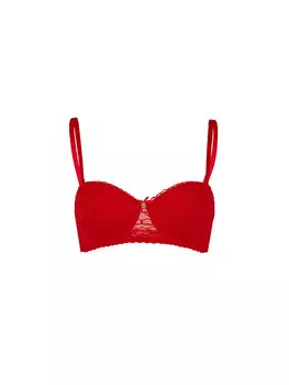 Бюстгальтер