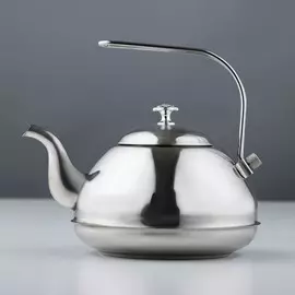 Чайник из нержавеющей стали
