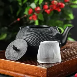 Чайник для плиты чугунный доляна