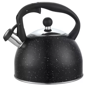Чайник 3,0л со св черный