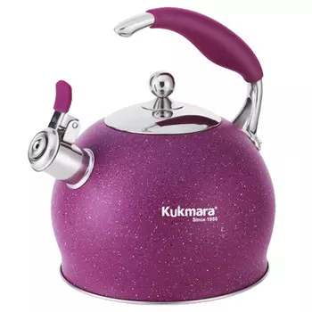 Чайник 3,0л со свистком