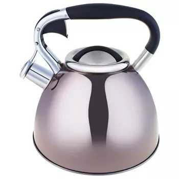 Чайник 3,0л со свистком графит