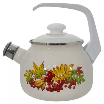 Чайник эмал 2,5л рябина