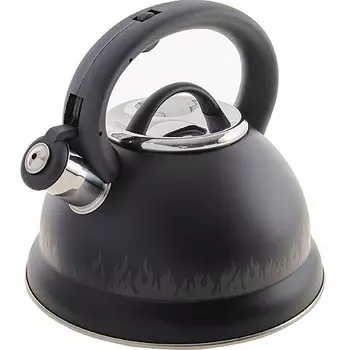 Чайник из нержавеющей стали