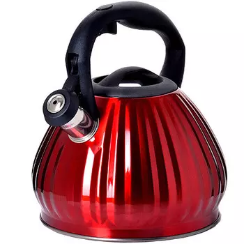 Чайник из нержавеющей стали