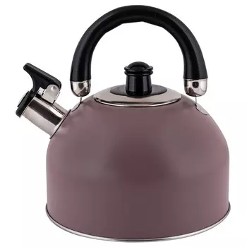 Чайник нерж 2,5л со св лиловый