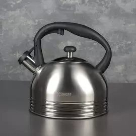 Чайник со свистком из нержавеющей стали