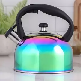 Чайник со свистком из нержавеющей стали