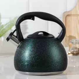 Чайник со свистком