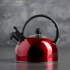 Чайник со свистком доляна