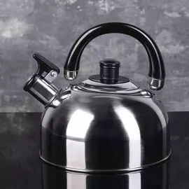 Чайник доляна