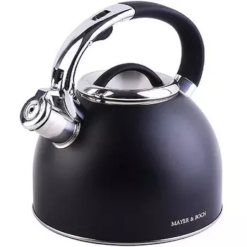 Чайник со свистком 2,5