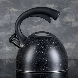 Чайник со свистком 2,5 л