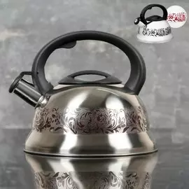 Чайник доляна