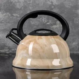 Чайник со свистком из нержавеющей стали доляна