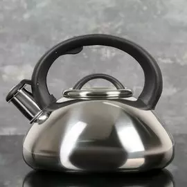 Чайник доляна