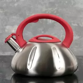 Чайник со свистком 2,8 л