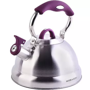 Чайник со свистком 3