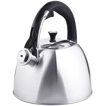 Чайник со свистком 3