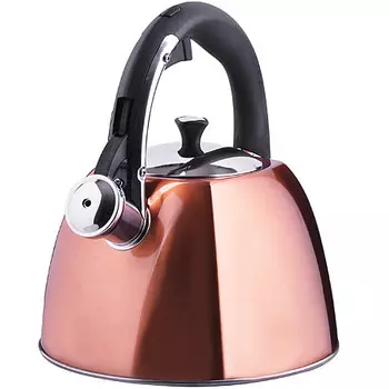 Чайник со свистком 3