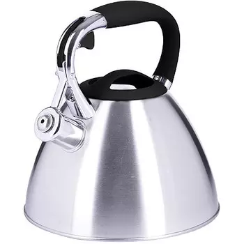 Чайник со свистком 3