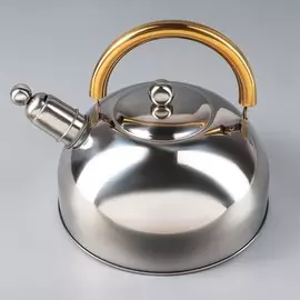 Чайник со свистком