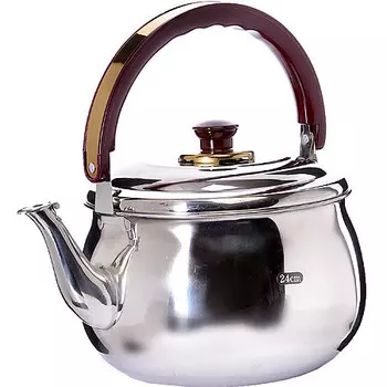 Чайник со свистком 4,5