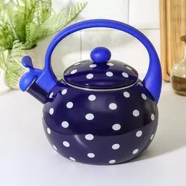 Чайник со свистком эмалированный доляна