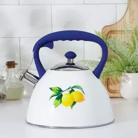 Чайник со свистком из нержавеющей стали доляна