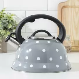 Чайник со свистком из нержавеющей стали доляна