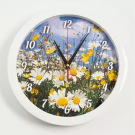 Часы настенные, серия: природа,
