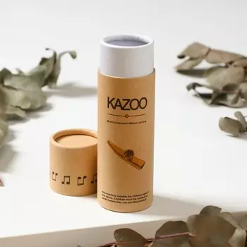 Чехол-коробочка для казу, music life