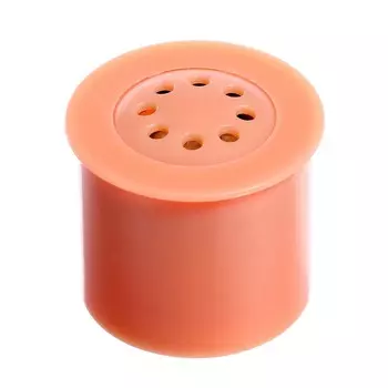 Чип музыкальный