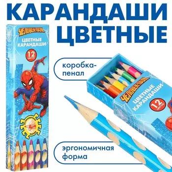 Цветные карандаши, 12 цветов, трехгранные,