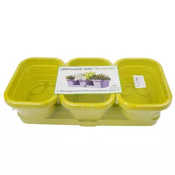 Цветочное трио