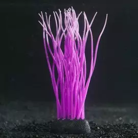 Декор для аквариума